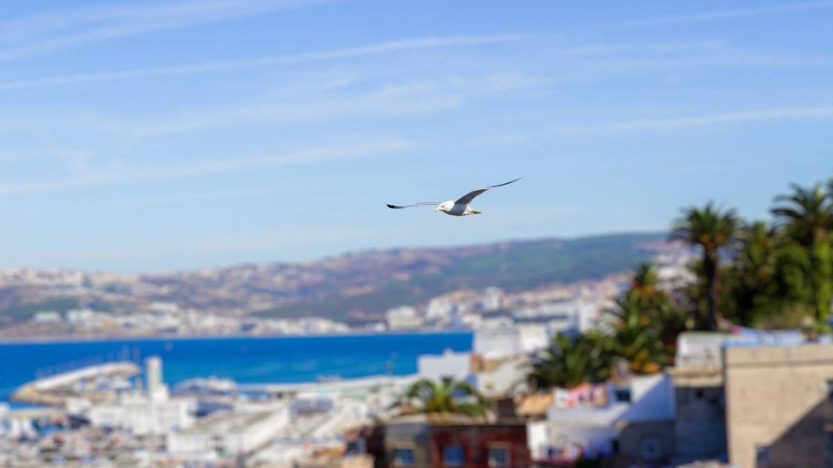 Consejos para visitar Tánger